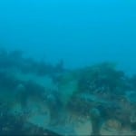 Franklin's Lost Ship, the HMS Terror Found