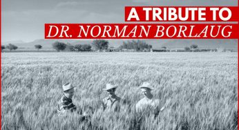 Norman Borlaug: An Agricultural Pioneer