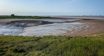 On Bradford’s Trail: The Humber